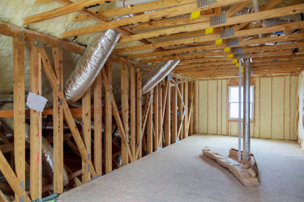Best Insulation Maintenance and Repair in Palisade, CO